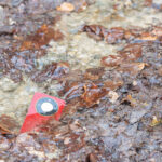 Parteneriatul HONOR și Salvamont Zărnești: tehnologia devine un aliat esențial pentru siguranța montană